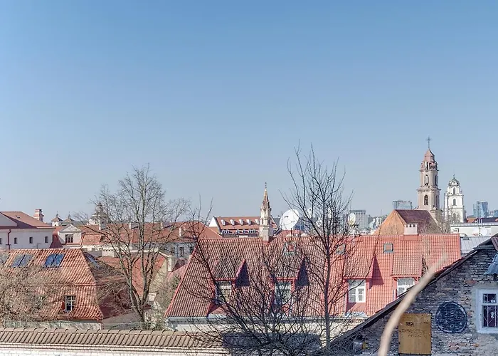 Mini By Town Hall, Self Chek-in Daire Vilnius